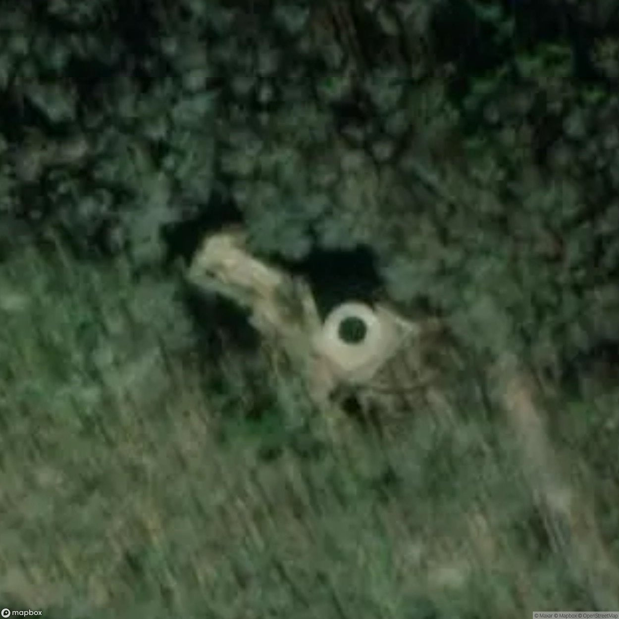 Nordeck Castle Ruins [DEU]