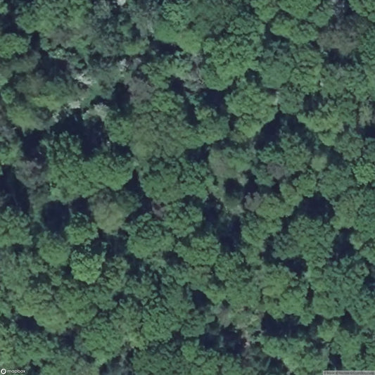 Otterbiel Fortification 1 [FRA]