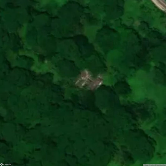 Istana Woodneuk