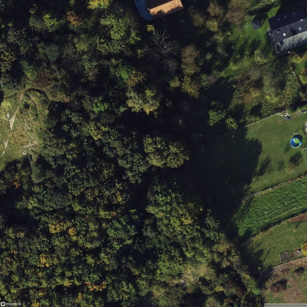 Site Destroyed Cottage In The Forest [POL] #33836