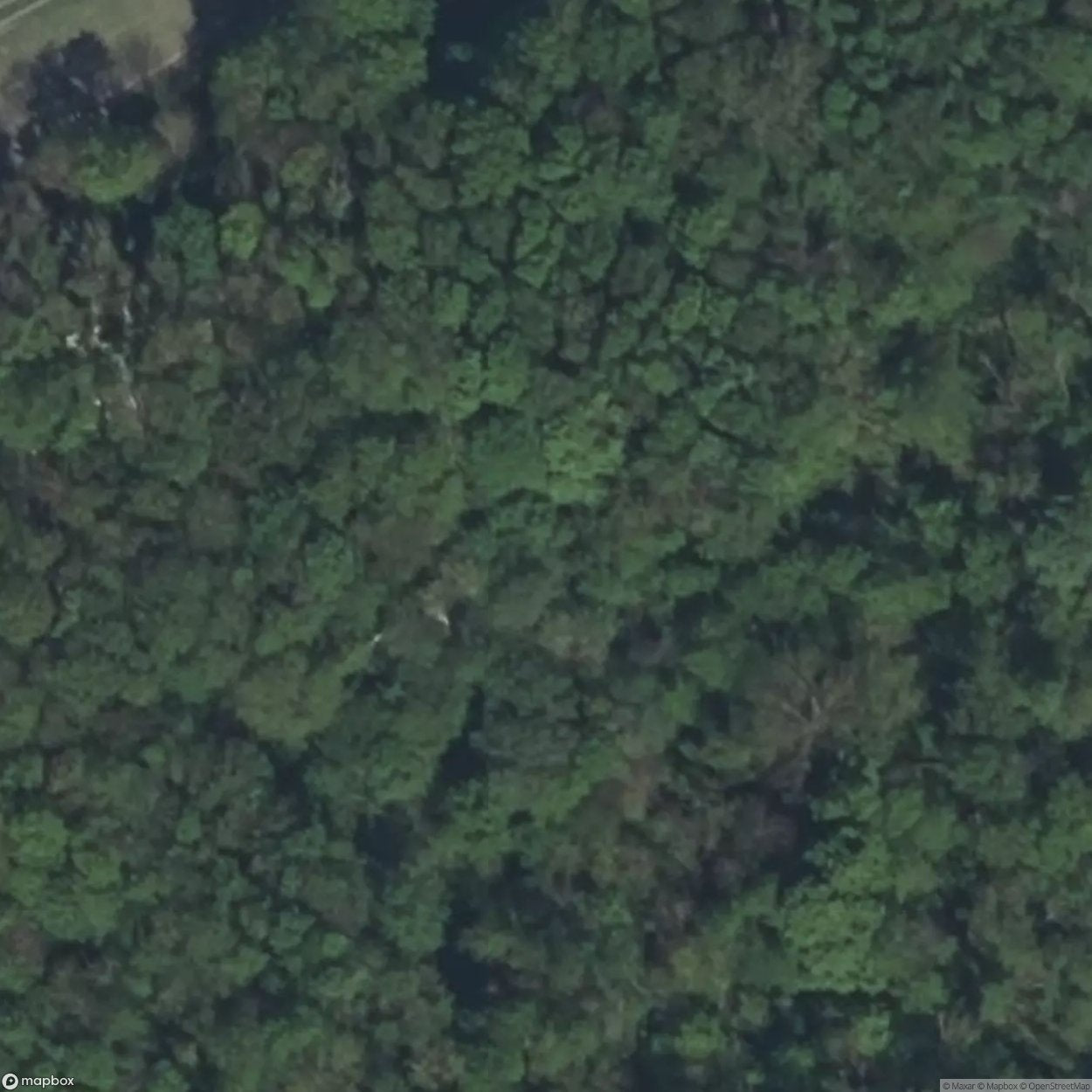 Ruins of Château de la Malle [FRA]
