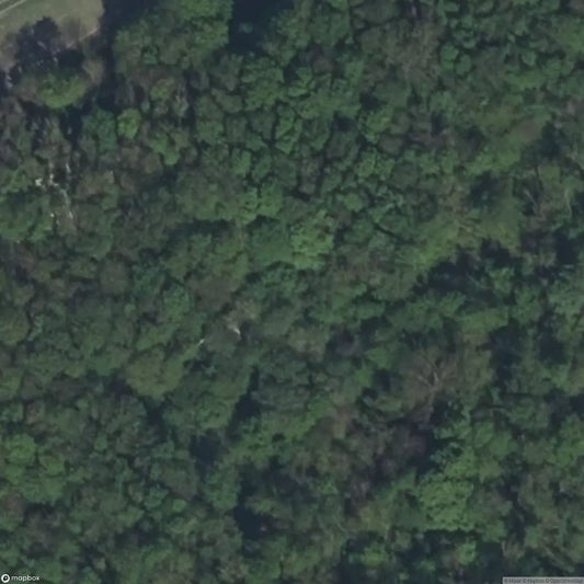 Ruins of Château de la Malle [FRA]
