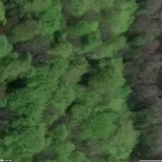 Lady Park Wood Iron Mines [GBR]