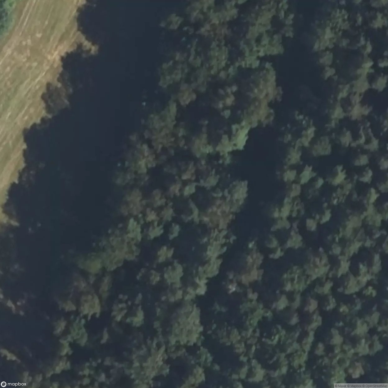 Maginot Line - Casemate Gunsthal West [FRA]