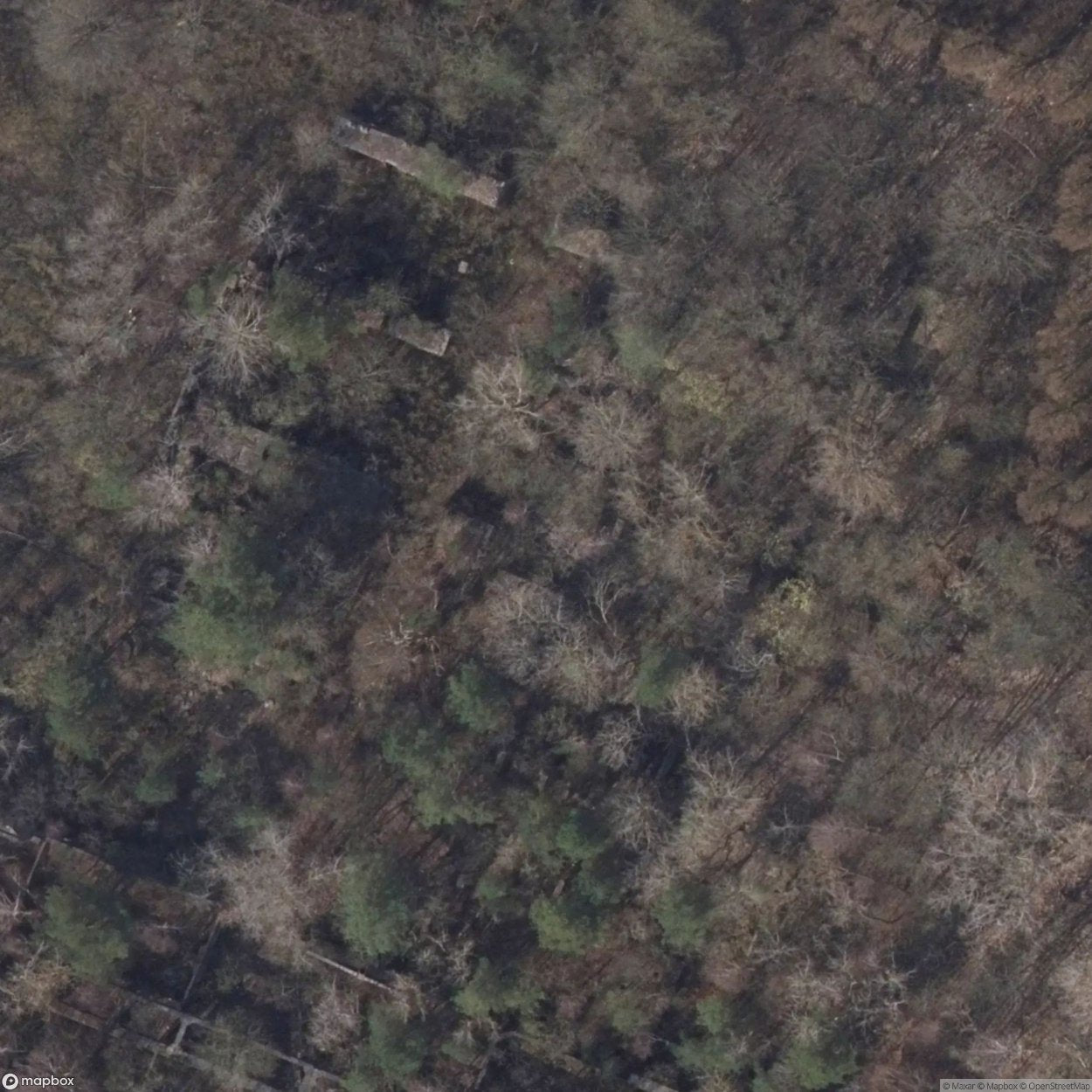 Cement Factory Ruins [POL]