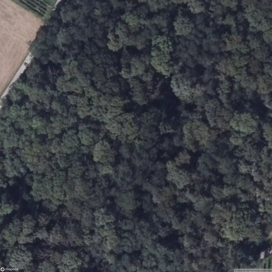 Letzenberg Bunker [DEU]