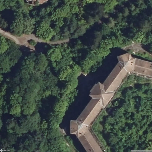 Forest Sanatorium II [FRA]