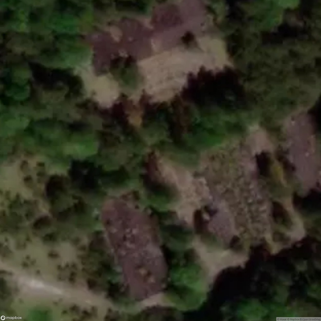 Reddigau Building [DEU]