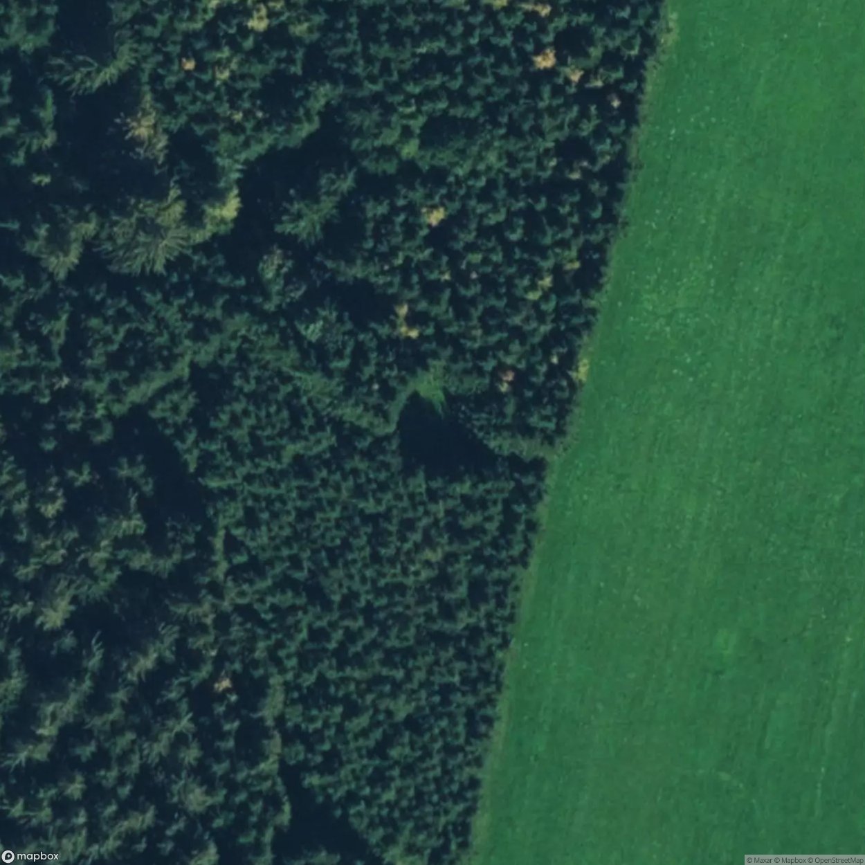 Roman Grave [AUT] #21716