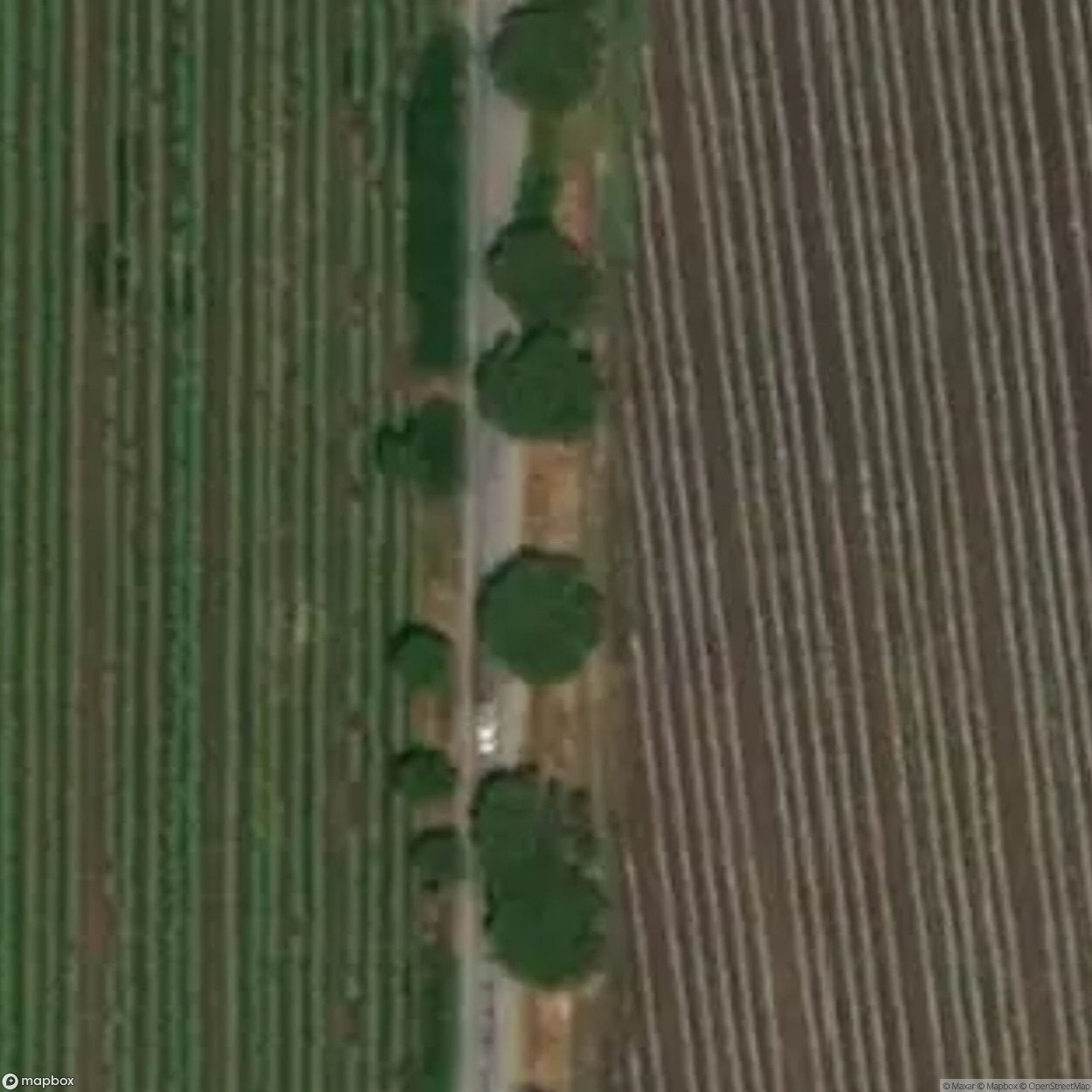 Cori Hunting Grounds [ITA]