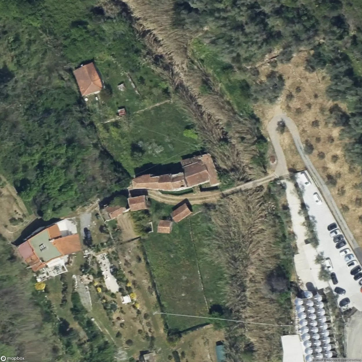 Olive Oil Factory [ITA]