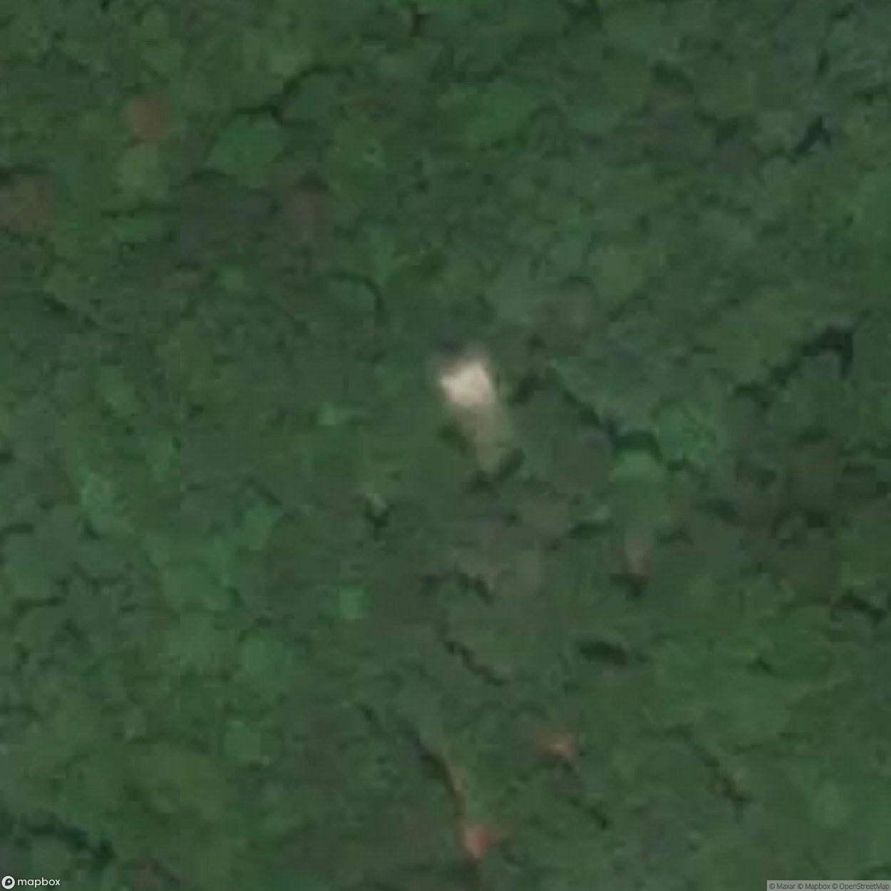 Saxenegg Castle Ruin [AUT]