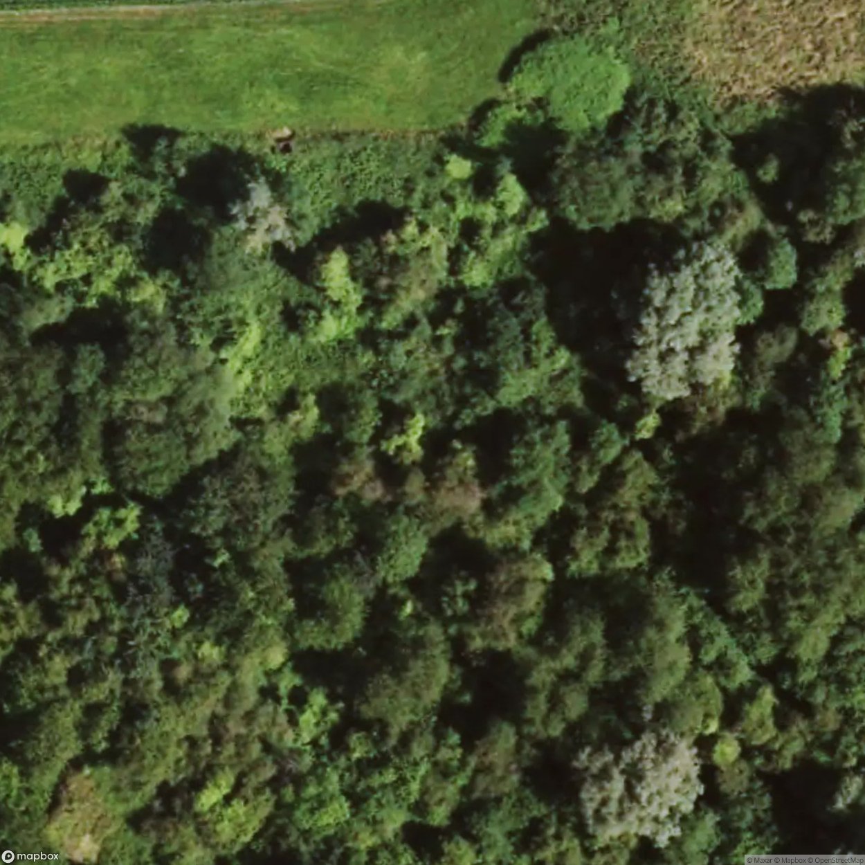 Boussois Fortification [FRA]