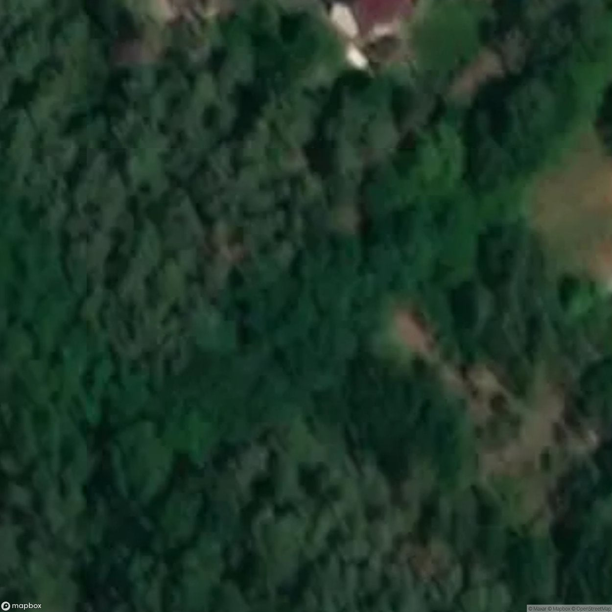 Forest Pool Jerichow [DEU]