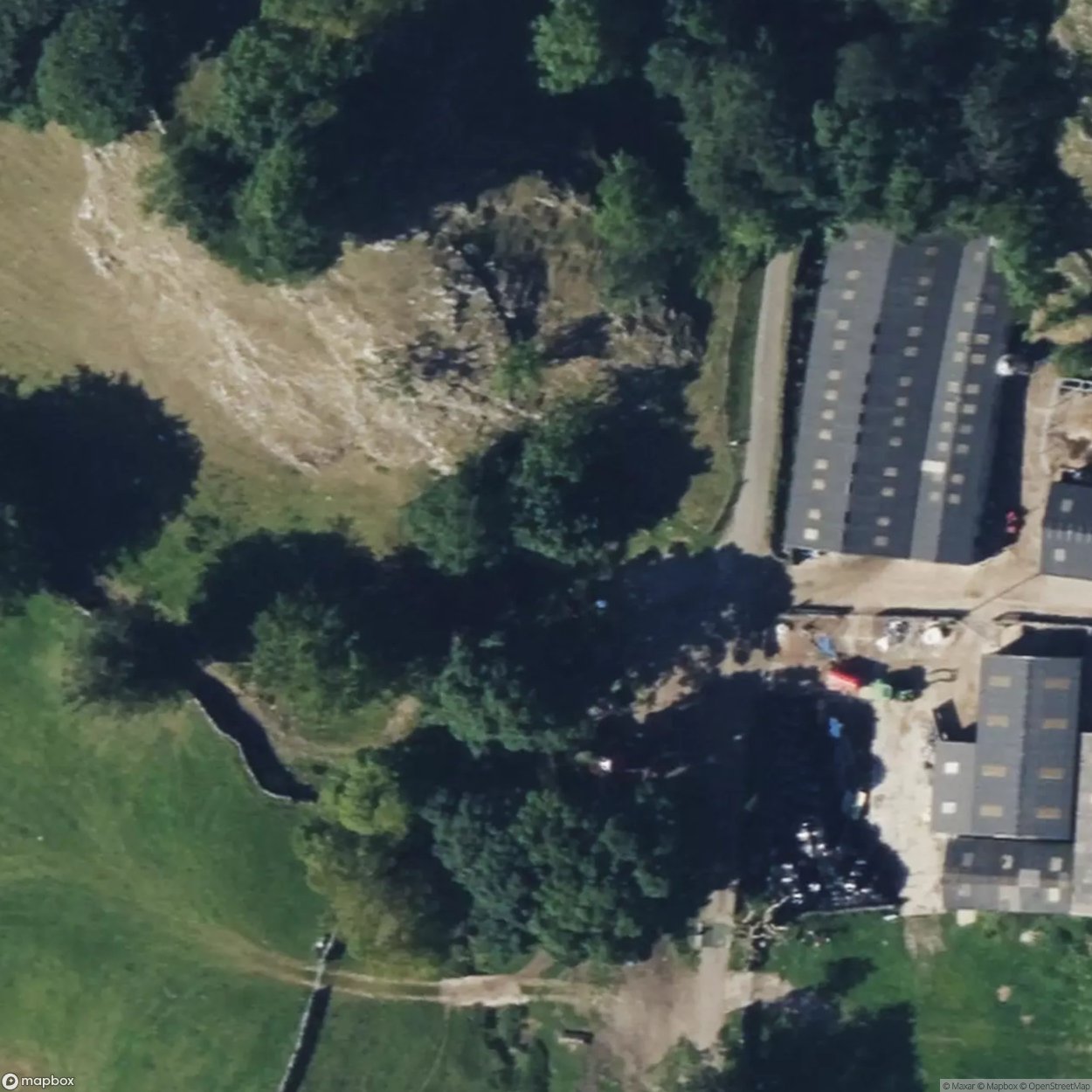 Dowel Resurgence [GBR]