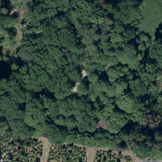 The Coachman's House [DEU]