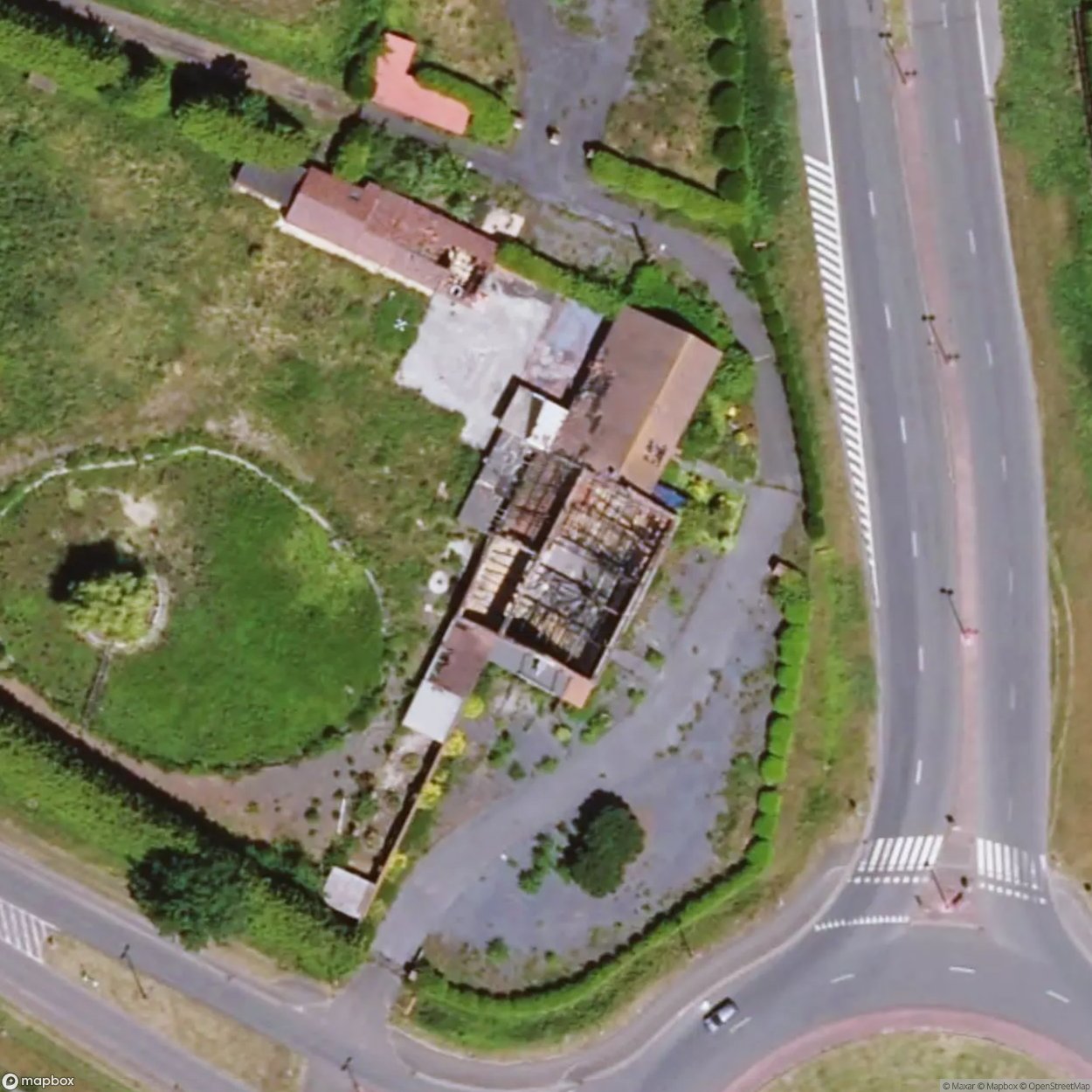 Paloma Dancing [BEL]