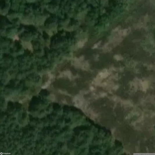 Training Area Sophienhof near TangerhÃ¼tte [DEU]