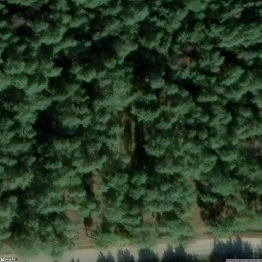 Biedrusko Polygon Site [POL] #33321