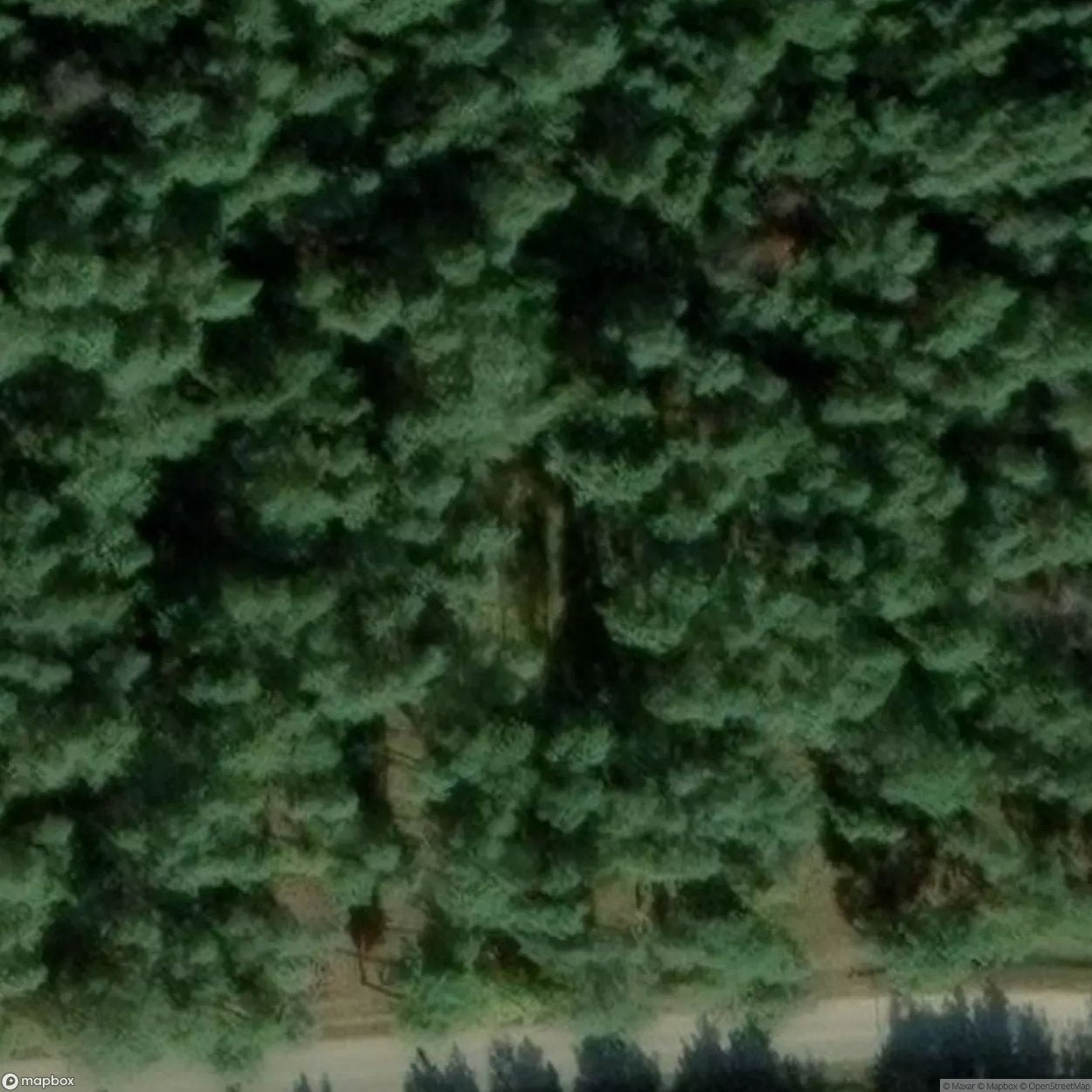 Biedrusko Polygon Site [POL] #33321