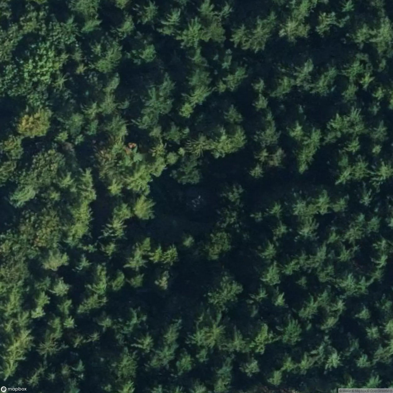 Stellichte Mausoleum [DEU]