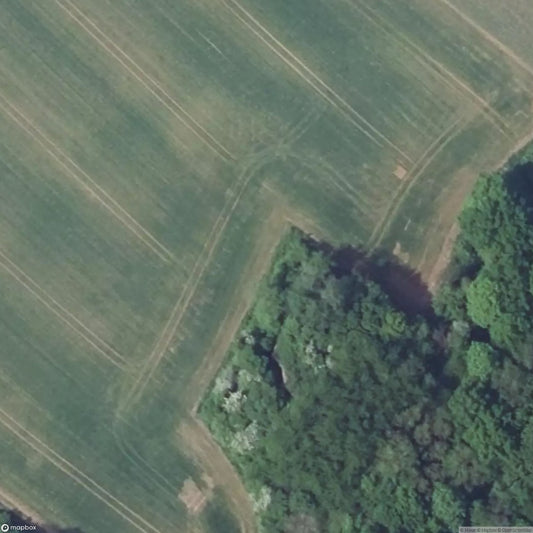 Verbusch West Casemate [FRA]