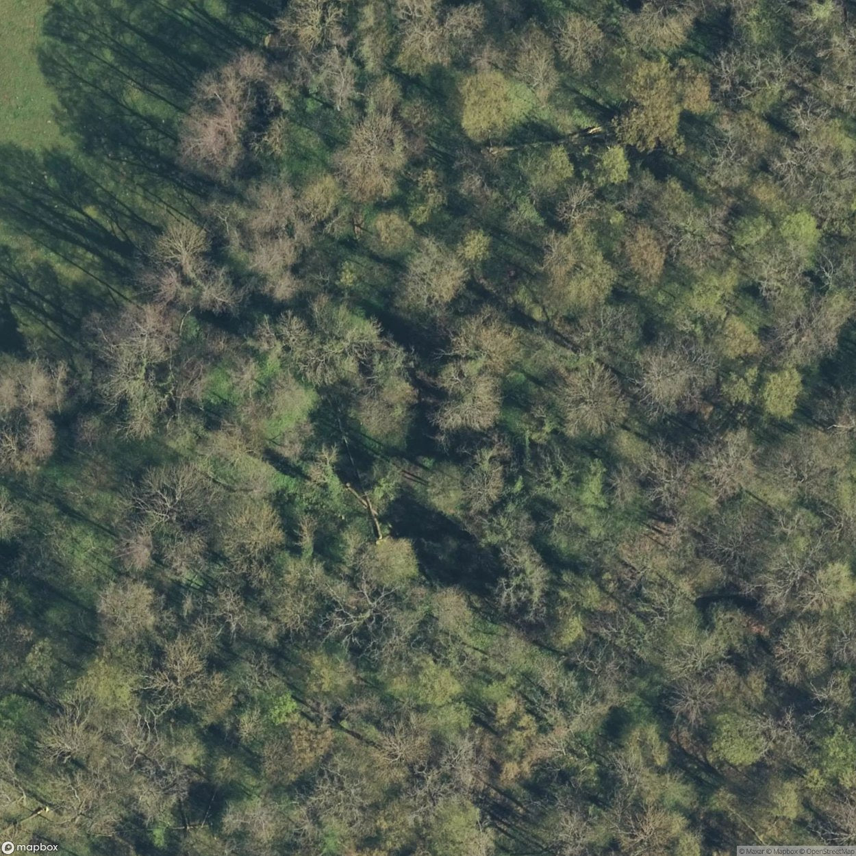 Bunker Trail / Group of 5 Bunkers [FRA]