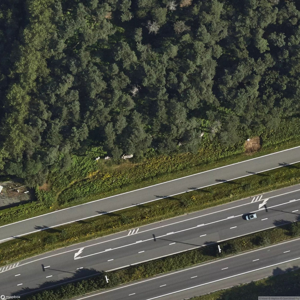 Elephant column sculpture [BEL]