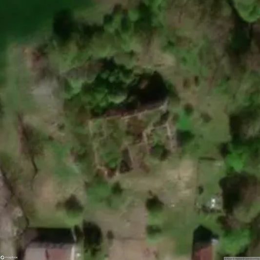 Ruined palace of the XVI century [POL]