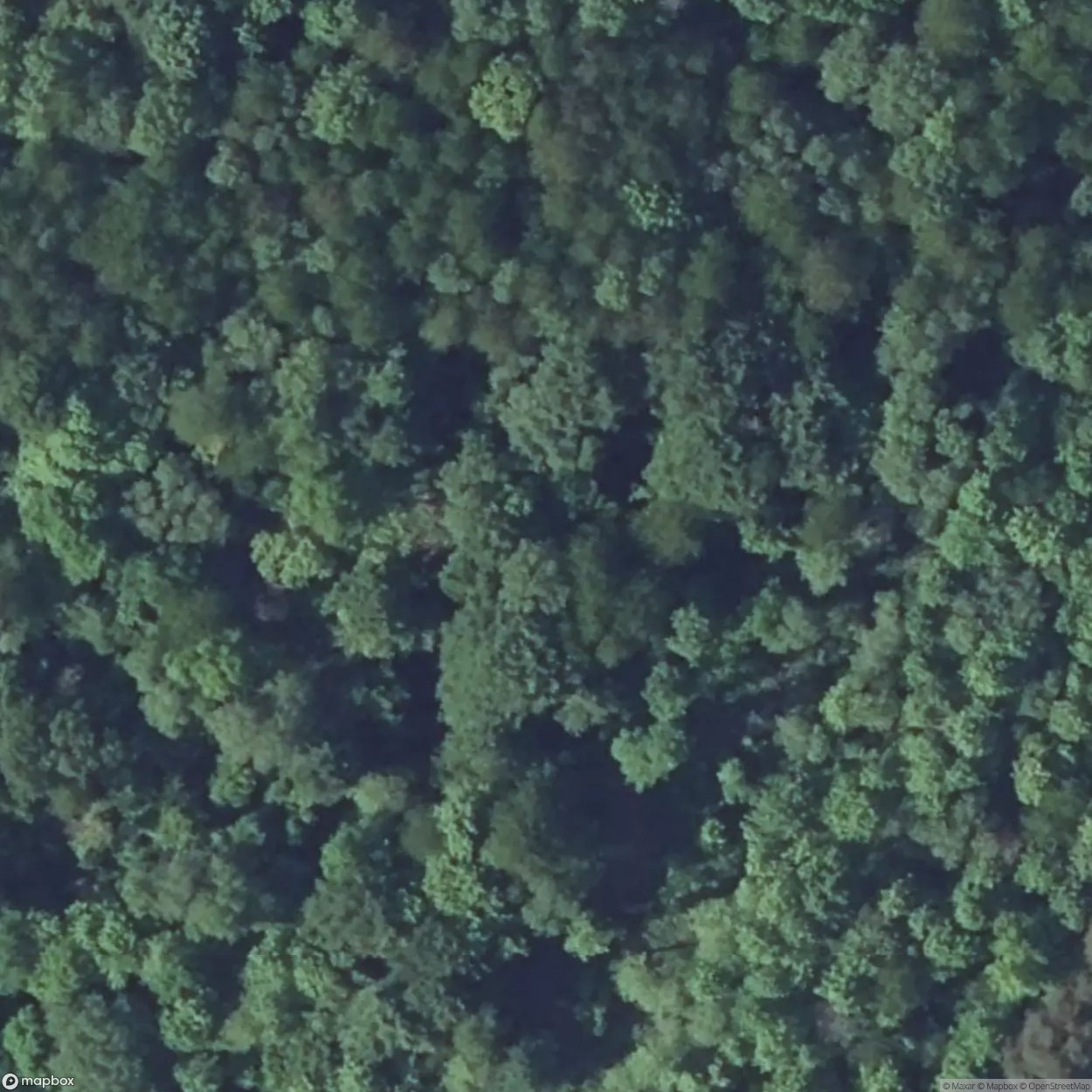 Haut de l'Anguille [FRA]