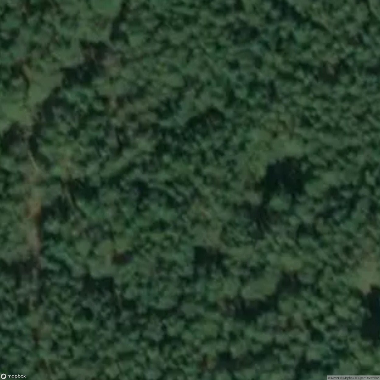 MRU Armor Work 861 [POL]