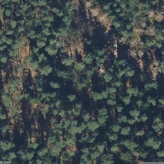 Jewish Cemetery [DEU]