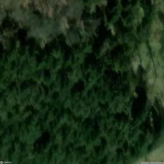 Castle Freudenkoppe [DEU]