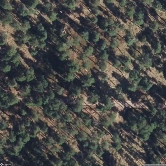 Ammunition Depot GSSD in Dannenwalde [DEU]