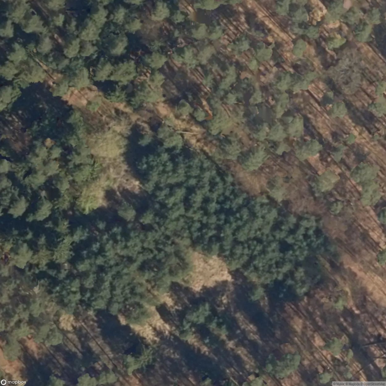 Honecker Family Bunker [DEU]