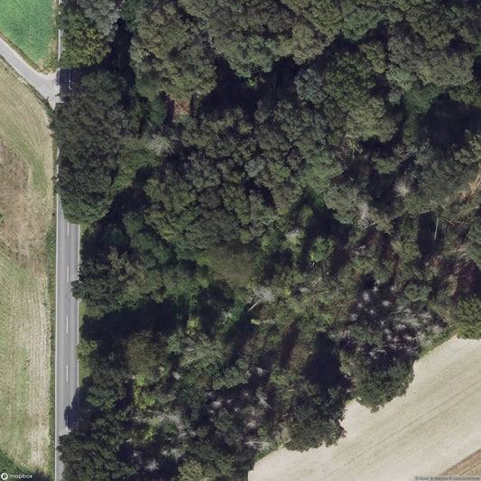 House Hambusch [DEU]