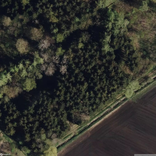 Ruine der Sprengstofffabrik FASSAN 2 [DUI]