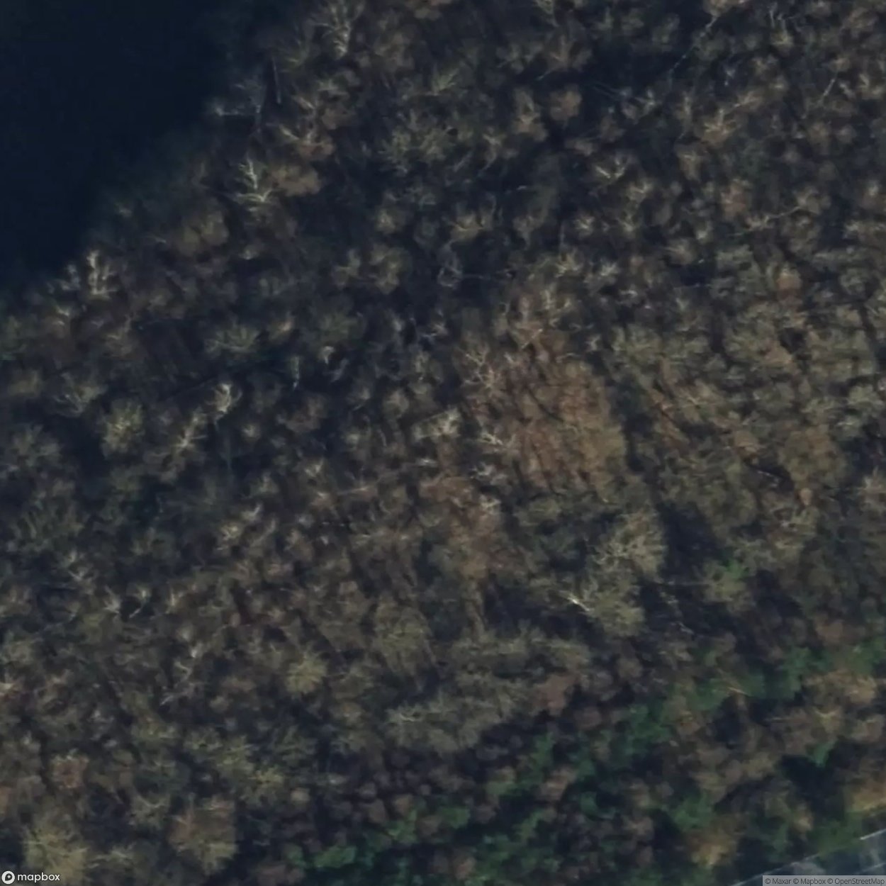 Bunker Remains [DEU]