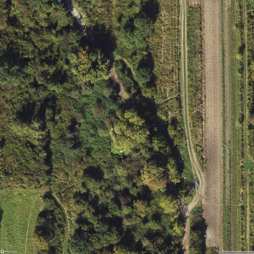Site Ysa Gora Ammunition Depot [POL] #33390