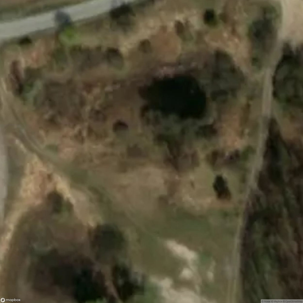 Historic Cemetery Gumnowice [POL] #35800