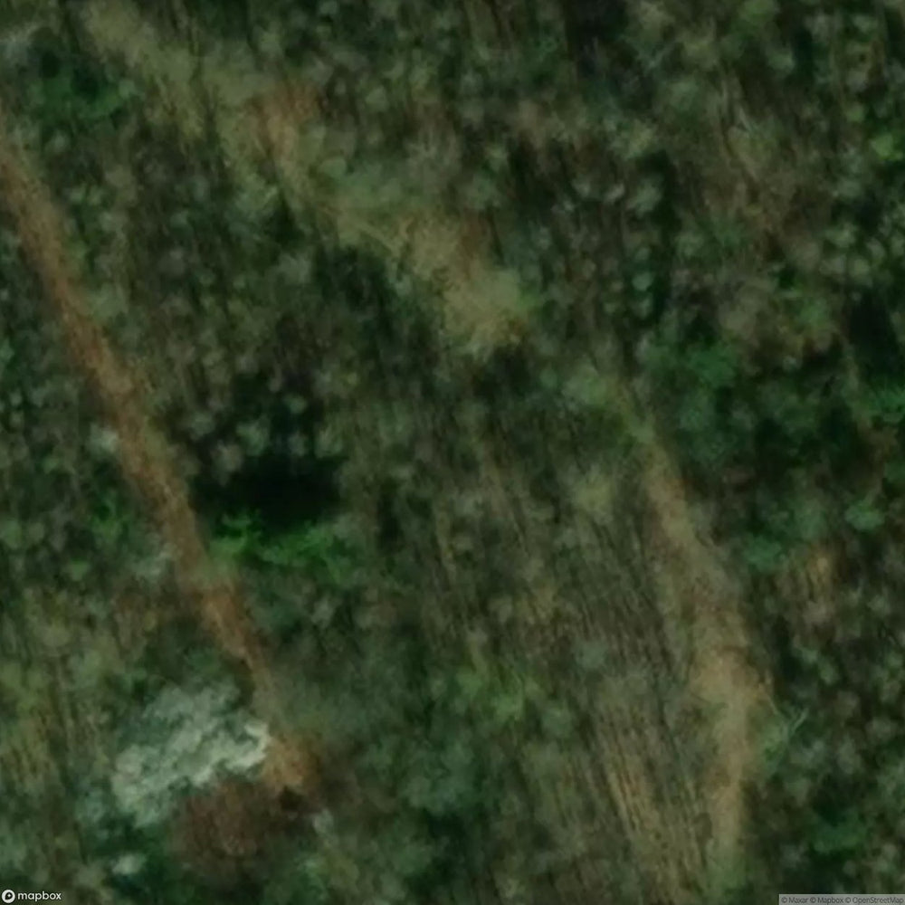 Abandoned Air Defense Site Babido [POL] #32101