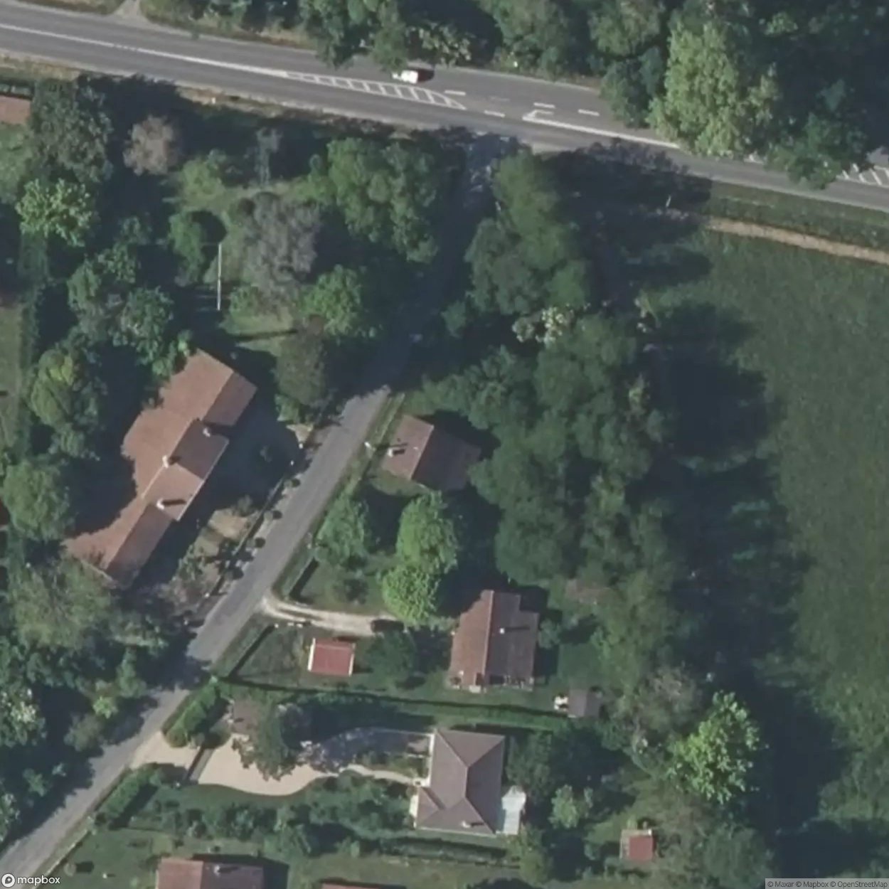 Yellow Dwarf House [FRA]