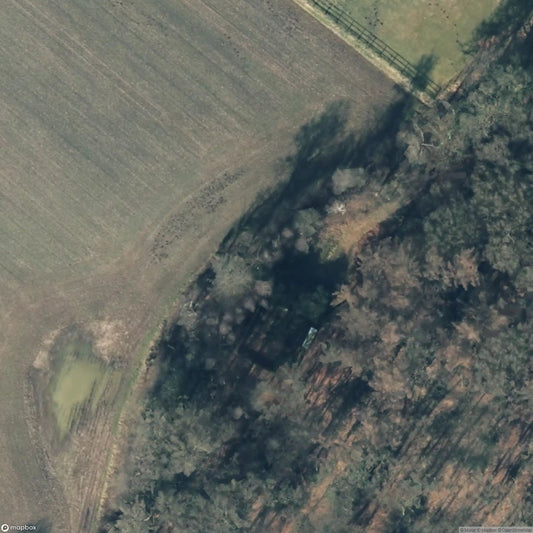 Forest Cemetery [DEU]