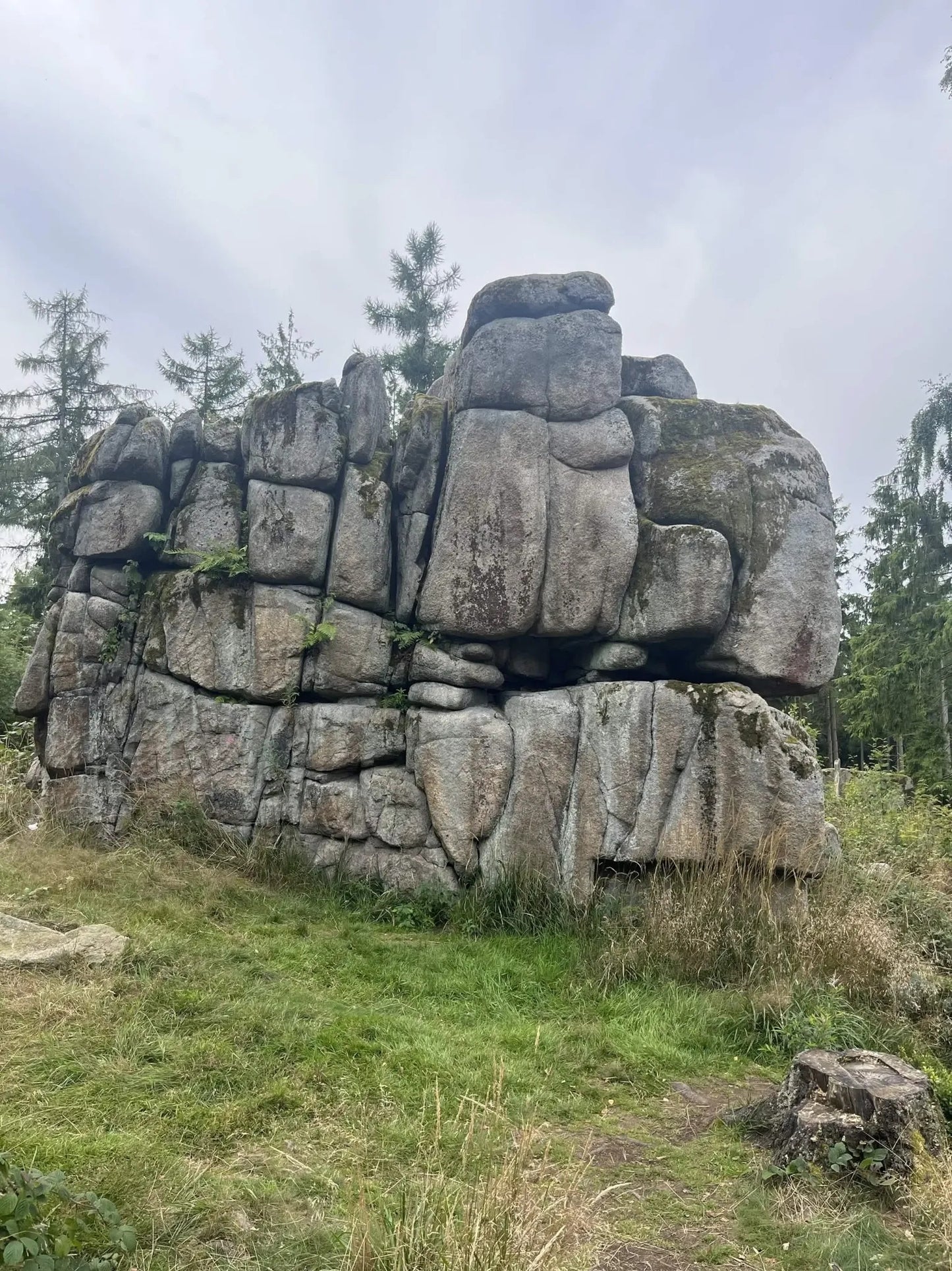 Summer Camp Pond [DEU] #14099