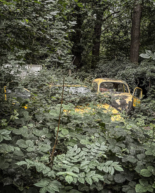 Yellow Cars [BEL] #14839