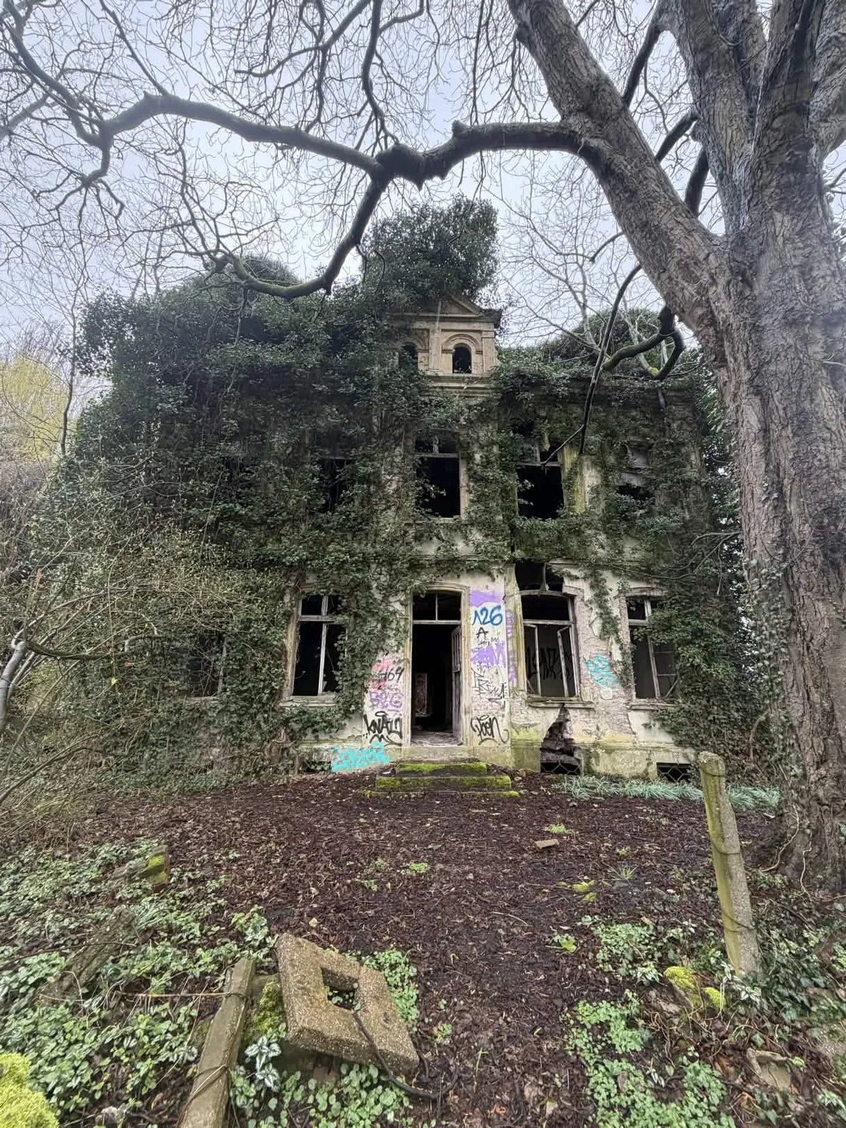 Muhr Villa [DEU] #01883